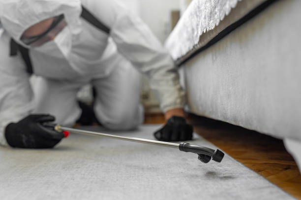 Professional Bed Bug Control technician working in Menomonee Falls, WI